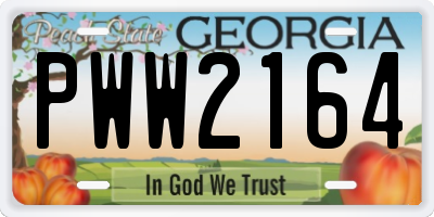 GA license plate PWW2164