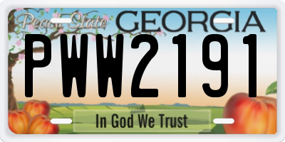 GA license plate PWW2191