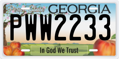 GA license plate PWW2233