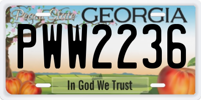 GA license plate PWW2236