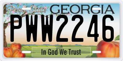 GA license plate PWW2246