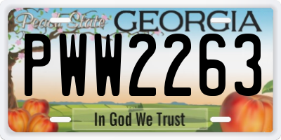 GA license plate PWW2263