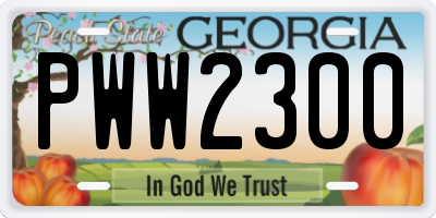 GA license plate PWW2300
