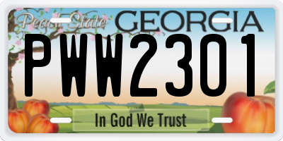 GA license plate PWW2301