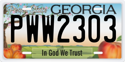 GA license plate PWW2303
