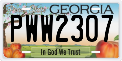 GA license plate PWW2307