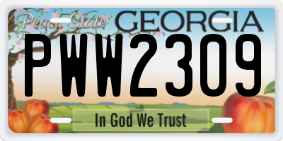 GA license plate PWW2309