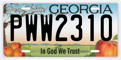 GA license plate PWW2310