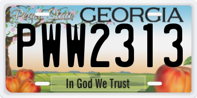 GA license plate PWW2313