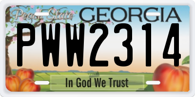 GA license plate PWW2314