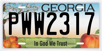 GA license plate PWW2317