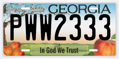 GA license plate PWW2333