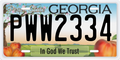 GA license plate PWW2334