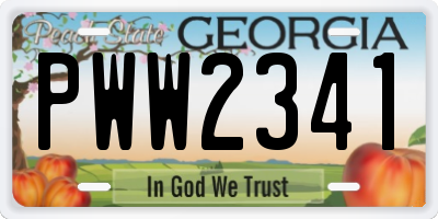 GA license plate PWW2341