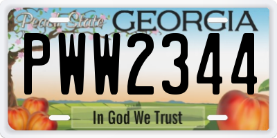 GA license plate PWW2344