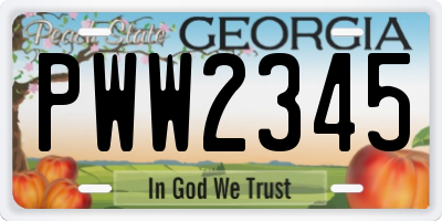 GA license plate PWW2345