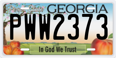 GA license plate PWW2373