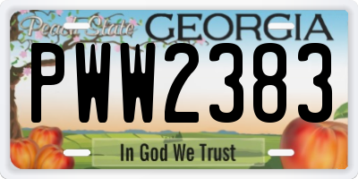 GA license plate PWW2383