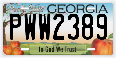 GA license plate PWW2389