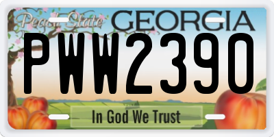 GA license plate PWW2390