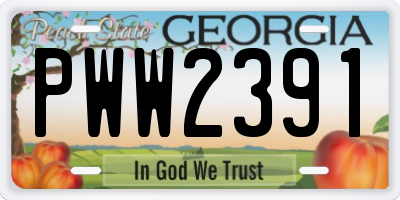 GA license plate PWW2391