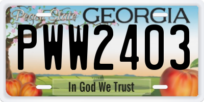 GA license plate PWW2403