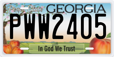 GA license plate PWW2405