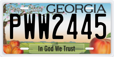 GA license plate PWW2445