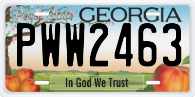 GA license plate PWW2463