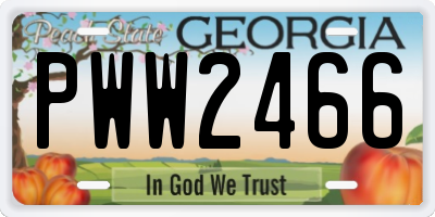 GA license plate PWW2466