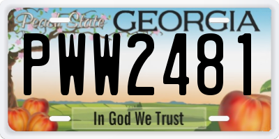 GA license plate PWW2481