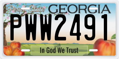 GA license plate PWW2491