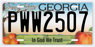 GA license plate PWW2507
