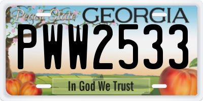 GA license plate PWW2533