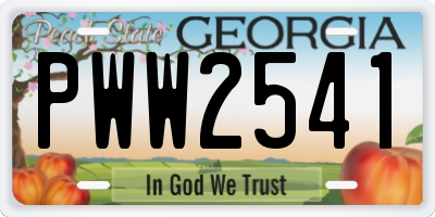 GA license plate PWW2541