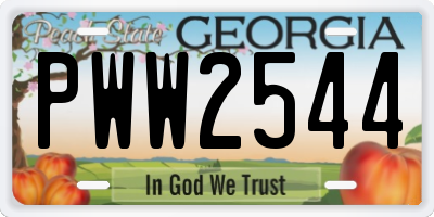 GA license plate PWW2544