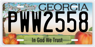 GA license plate PWW2558