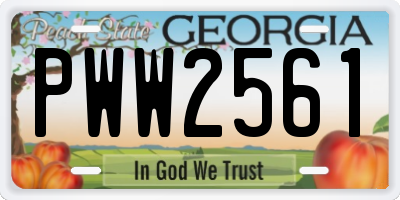GA license plate PWW2561