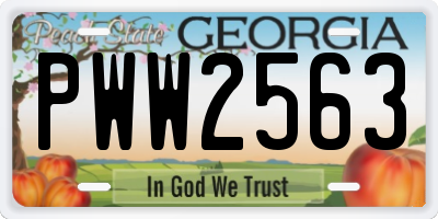GA license plate PWW2563