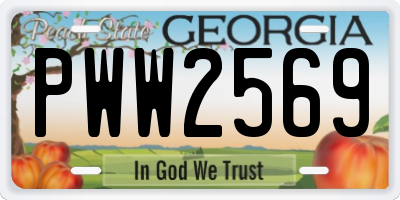 GA license plate PWW2569