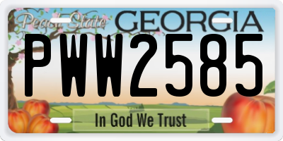 GA license plate PWW2585