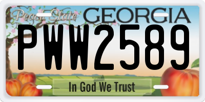GA license plate PWW2589