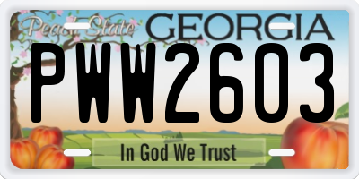 GA license plate PWW2603