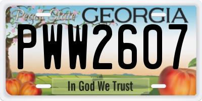 GA license plate PWW2607
