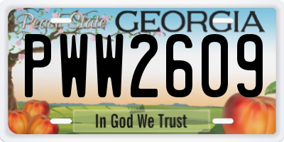 GA license plate PWW2609