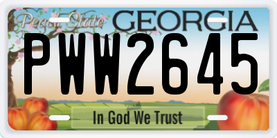 GA license plate PWW2645