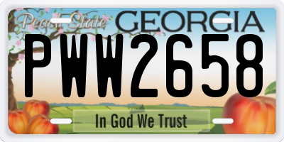 GA license plate PWW2658