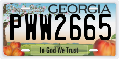 GA license plate PWW2665
