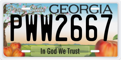 GA license plate PWW2667