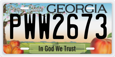 GA license plate PWW2673